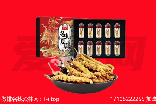 绥化回收虫草.jpg
